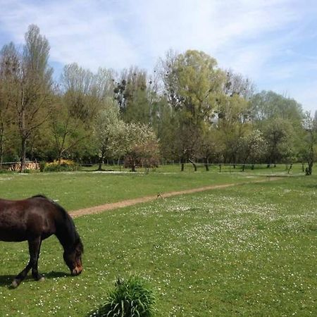 Montigny-sur-LoingLa Pierre Levee公寓 外观 照片