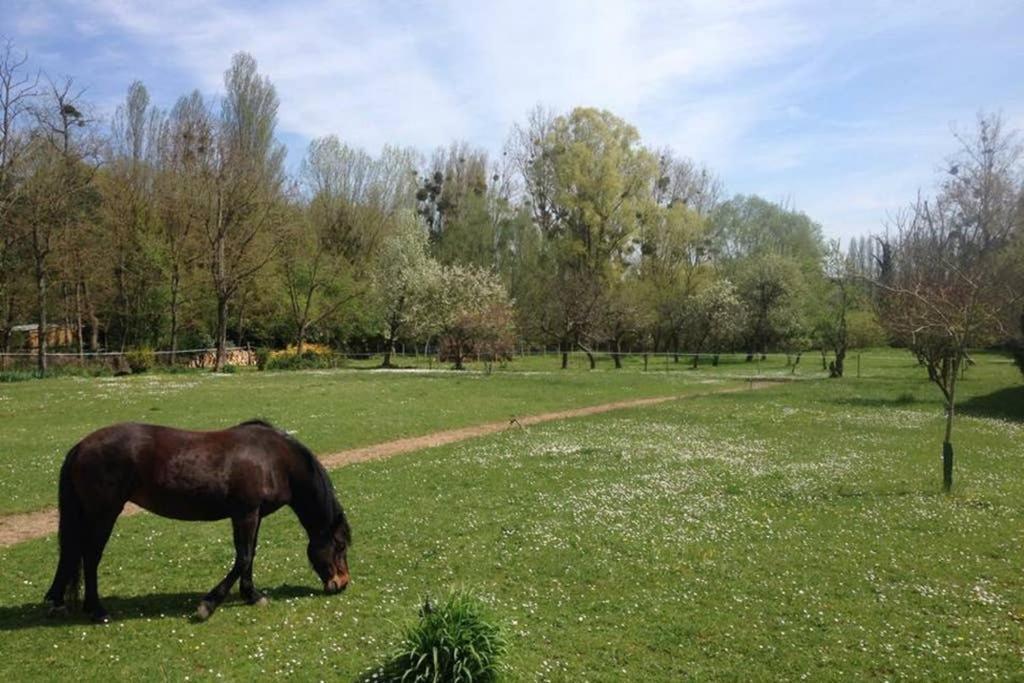 Montigny-sur-LoingLa Pierre Levee公寓 外观 照片